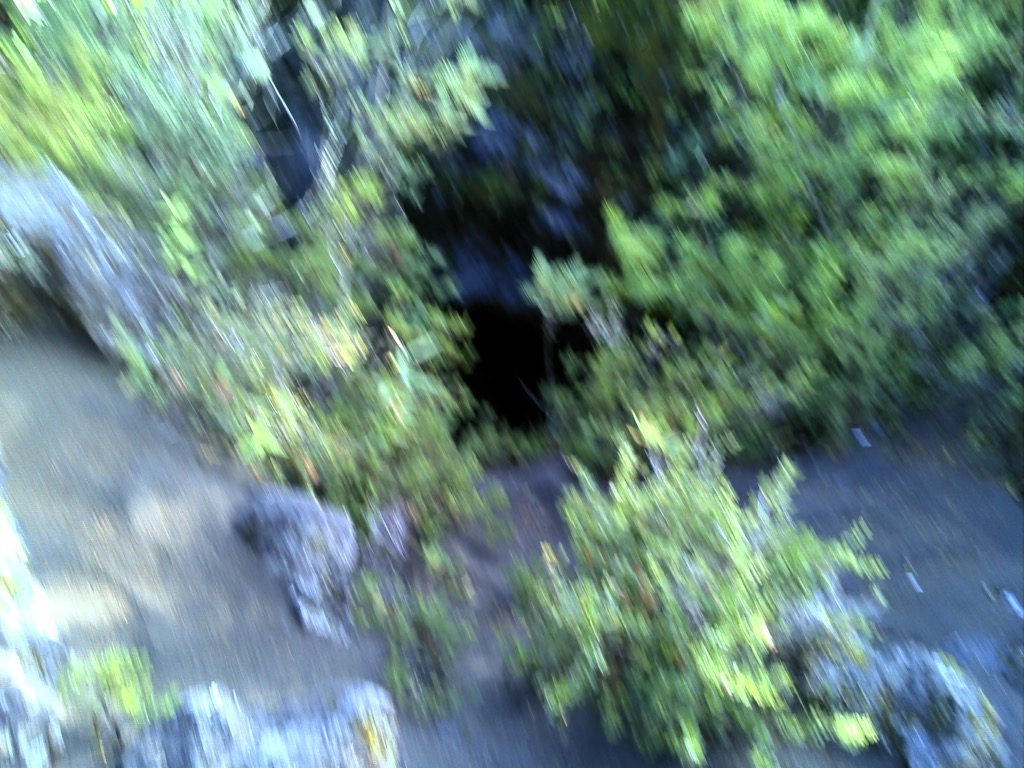 DSC00131